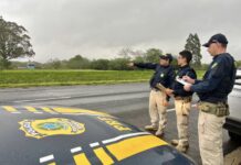 PRF realiza operação para diagnosticar fatores de riscos estruturais para motoristas — Polícia Rodoviária Federal photo-output.jpeg