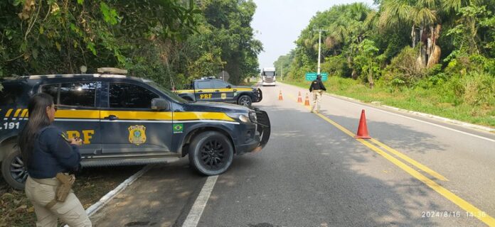 PRF intensifica operação de combate aos crimes ambientais.