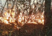 Polícia do Rio realiza operações contra suspeitos de causar incêndios Polícia do Rio realiza operações contra suspeitos de causar incêndios