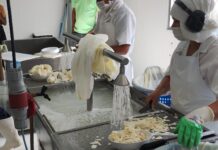 Secretaria de Desenvolvimento Econômico destaca potencial da Bahia dentro e fora do país Secretaria de Desenvolvimento Econômico destaca potencial da Bahia dentro e fora do país