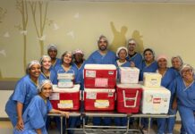 Setembro Verde: Hospital Clériston Andrade lidera número de captações de órgãos na Bahia Logo