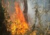 União de esforços busca conter incêndio na Serra dos Órgãos, no Rio União de esforços busca conter incêndio na Serra dos Órgãos, no Rio