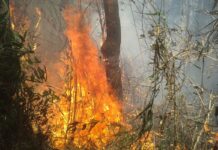 União de esforços busca conter incêndio na Serra dos Órgãos, no Rio União de esforços busca conter incêndio na Serra dos Órgãos, no Rio