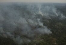 AGU cobra R$ 89 milhões de acusados de causar queimadas na Amazônia AGU cobra R$ 89 milhões de acusados de causar queimadas na Amazônia