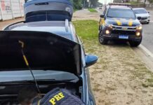 Carro roubado é recuperado na Rodovia Washington Luiz — Polícia Rodoviária Federal IMG-20241009-WA0172.jpg