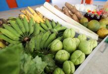 Cesta Básica de Salvador cai 1,72% em setembro, terceira redução consecutiva Logo