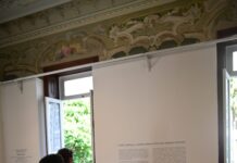 Confira a programação semanal dos Museus do Ipac entre os dias 1 a 5 de outubro Logo