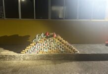 Em Porto Velho/RO, PRF realiza apreensão de 117 kg de entorpecentes — Polícia Rodoviária Federal WhatsApp Image 2024-10-04 at 23.46.22.jpeg