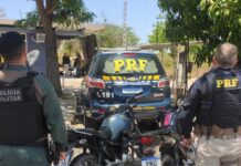 Em ação integrada entre PRF e PMCE, veículos clonados são apreendidos em Canindé/CE — Polícia Rodoviária Federal WhatsApp Image 2024-10-11 at 16.18.50.jpeg