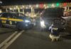 Jeep Renegade roubado em Diadema (SP) é localizado pela PRF na Fernão Dias em MG — Polícia Rodoviária Federal Renegade Cambuí.jpeg