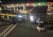 Jeep Renegade roubado em Diadema (SP) é localizado pela PRF na Fernão Dias em MG — Polícia Rodoviária Federal Renegade Cambuí.jpeg