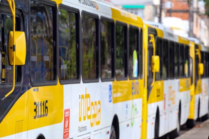 Linha especial de ônibus é criada para atender ao público do Mega Aulão do Enem do IngreSSAr  neste sábado (26) – Secretaria de Comunicação