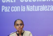 Na COP16, Marina Silva defende fundo para remunerar povos tradicionais Na COP16, Marina Silva defende fundo para remunerar povos tradicionais