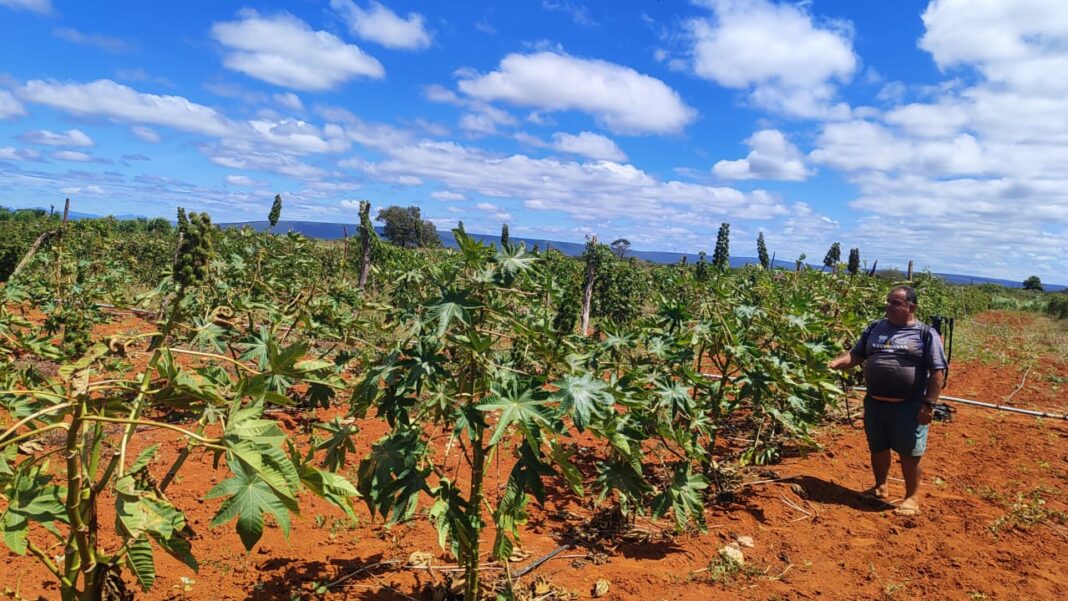 Nova Lei do Combustível do Futuro abre oportunidades para Agricultura Logo