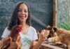 Ovos de galinha caipira garantem renda e segurança alimentar para mulheres no Recôncavo Baiano Logo