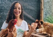 Ovos de galinha caipira garantem renda e segurança alimentar para mulheres no Recôncavo Baiano Logo