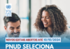 Seleção de consultores pelo PNUD é prorrogada até 20 de outubro Logo