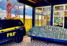 PRF Efetua Apreensão de Mais de 730 Quilos de Drogas em Operações Recentes — Polícia Rodoviária Federal WhatsApp Image 2024-10-25 at 14.53.09.jpeg