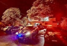PRF, PCGO e PMGO prendem traficantes no entorno do DF — Polícia Rodoviária Federal 6d904ba1-beb9-4087-a3a1-454bff652068.jpeg