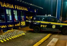 PRF Realiza Apreensão de Drogas em Veículo na BR 364 em Rondonópolis — Polícia Rodoviária Federal WhatsApp Image 2024-10-27 at 14.11.21.jpeg