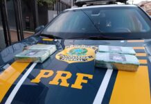 PRF apreende Pasta Base de Cocaína om passageira de ônibus na BR 381 em Pouso Alegre (MG) — Polícia Rodoviária Federal Pasta Base Pouso Alegre Outubro24.jpeg