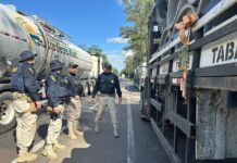 PRF reforça a fiscalização para combater o aumento de acidentes nas rodovias federais do RS — Polícia Rodoviária Federal feed749d-ed50-4fc2-a401-6bf748201983.jpeg