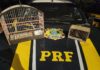 PRF resgata aves silvestres durante fiscalização na BR-324 em Capim Grosso (BA) — Polícia Rodoviária Federal WhatsApp Image 2024-10-04 at 12.58.59.jpeg