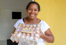 Produção de ovos de galinha caipira gera renda em comunidade quilombola de Araçás Logo