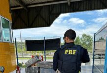 Ação conjunta entre PRF e PF resulta na apreensão de veículo clonado e mais de 300 kg de maconha — Polícia Rodoviária Federal WhatsApp Image 2024-11-28 at 11.48.08.jpeg
