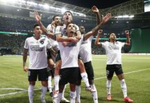 Brasileiro: Botafogo vence Palmeiras por e 3 a 1 e reassume liderança Brasileiro: Botafogo vence Palmeiras por e 3 a 1 e reassume liderança