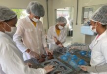 Escolas-fábricas da rede estadual expõem chocolates e sabonetes na 33ª Fenagro Logo