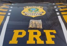 Motorista com munições é preso pela PRF em Boa Vista/RR — Polícia Rodoviária Federal Motorista com munições é preso pela PRF em Boa Vista/RR — Polícia Rodoviária Federal
