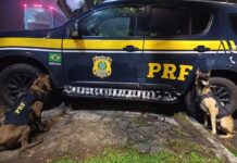 Mulher é presa com 5 quilos de haxixe em Piraí/RJ — Polícia Rodoviária Federal WhatsApp Image 2024-11-23 at 09.51.13.jpeg