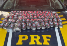 PRF apreende 8 kg de “haxixe” durante fiscalização na BR-010 — Polícia Rodoviária Federal Design sem nome (4).png