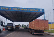 PRF apreende carga de blocos de cerâmicas transportados ilegalmente em Araguaína/TO — Polícia Rodoviária Federal PRF apreende carga de blocos de cerâmicas transportados ilegalmente em Araguaína/TO