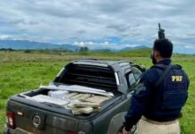 PRF apreende mais de 650 quilos de maconha em Seropédica/RJ — Polícia Rodoviária Federal WhatsApp Image 2024-11-05 at 19.08.47.jpeg