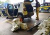 PRF apreende quase 300 kg de maconha na divisa entre SP e PR — Polícia Rodoviária Federal WhatsApp Image 2024-11-02 at 11.47.09.jpeg