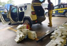 PRF apreende quase 300 kg de maconha na divisa entre SP e PR — Polícia Rodoviária Federal WhatsApp Image 2024-11-02 at 11.47.09.jpeg