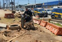 PRF inutiliza granada encontrada na Rodovia Presidente Dutra — Polícia Rodoviária Federal PRFRJ_DUTRA_18_11_2024.jpg