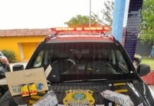 PRF prende homem em ônibus por transporte de 3.000 comprimidos de anfetaminas no Piauí — Polícia Rodoviária Federal WhatsApp Image 2024-11-14 at 21.11.03.jpeg