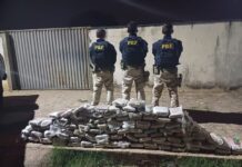 PRF realiza a apreensão de SKUNK e prende dois homens acusados de Tráfico de Drogas na cidade de Picos. — Polícia Rodoviária Federal WhatsApp Image 2024-11-15 at 07.41.53.jpeg