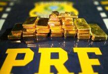 PRF realiza maior apreensão de ouro desde o início da Operação Omawe — Polícia Rodoviária Federal WhatsApp Image 2024-11-28 at 17.16.10.jpeg