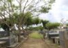 SAJ: Prefeitura realizou o tradicional processo de revitalização do cemitério municipal em preparação ao Dia de Finados – Prefeitura de Santo Antônio de Jesus – BA SAJ: Prefeitura realizou o tradicional processo de revitalização do cemitério municipal em preparação ao Dia de Finados – Prefeitura de Santo Antônio de Jesus - BA