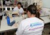 Capacitações e ações sociais municipais contribuem para a geração de emprego e diminuição da pobreza em Salvador Capacitações e ações sociais municipais contribuem para a geração de emprego e diminuição da pobreza em Salvador