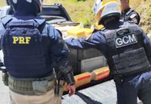 Carga de 400 Kg de queijo sem refrigeração é apreendida pela PRF e Guarda Municipal em Garanhuns — Polícia Rodoviária Federal Carga de 400 Kg de queijo sem refrigeração é apreendida pela PRF e Guarda Municipal em Garanhuns