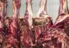 China abre investigação sobre importação de carne bovina China abre investigação sobre importação de carne bovina