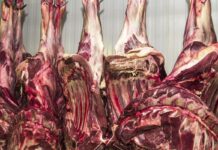 China abre investigação sobre importação de carne bovina China abre investigação sobre importação de carne bovina
