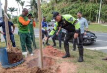 Corredor verde do BRT de Salvador ganha novo plantio de árvores – Secretaria de Comunicação Corredor verde do BRT de Salvador ganha novo plantio de árvores – Secretaria de Comunicação