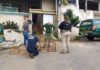 Duas pessoas são presas e 350 aves da fauna silvestre são apreendidas no RJ — Polícia Rodoviária Federal 01.jpg