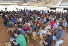 Inema promove audiência pública sobre o Complexo Eólico Canudos II e reforça transparência ambiental Logo